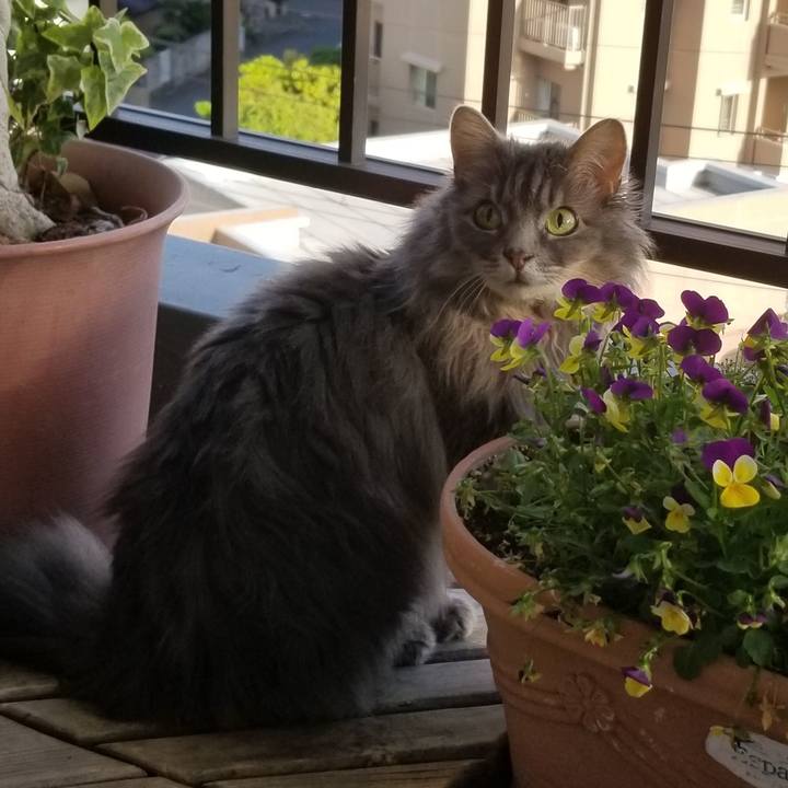 570cb904 3898 4992 8b75 81af3905ae6d 1590495593858