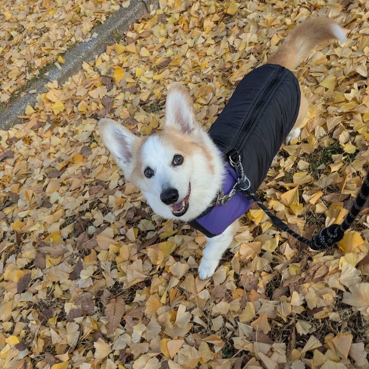 570cc014 0da6 4d7b bdd7 23b066465e88 1765251165578