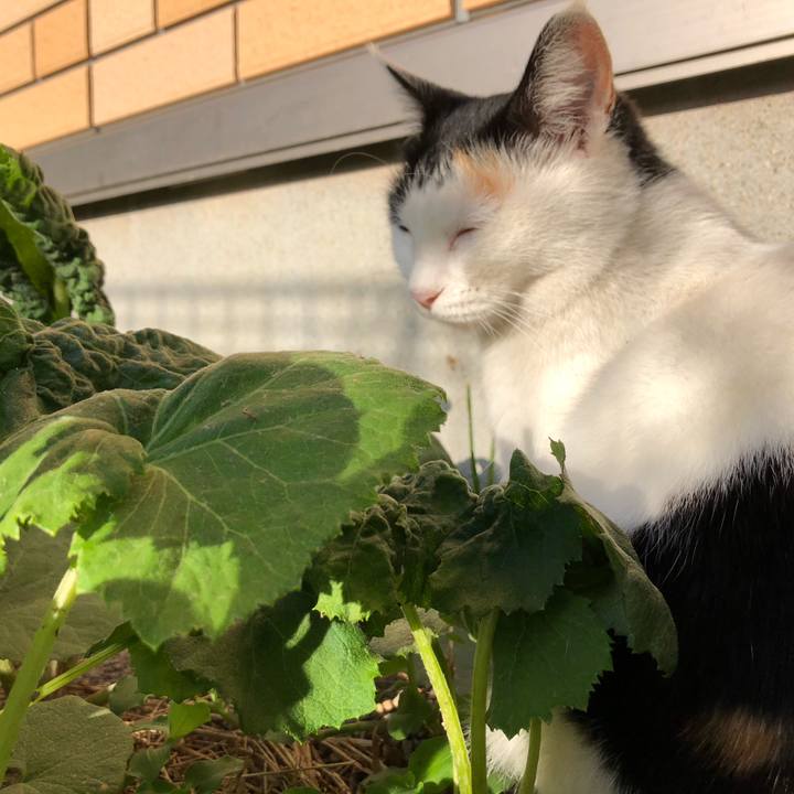 570cf0c5 15df 46ff a902 f50cfab7e3d1 1604792981868