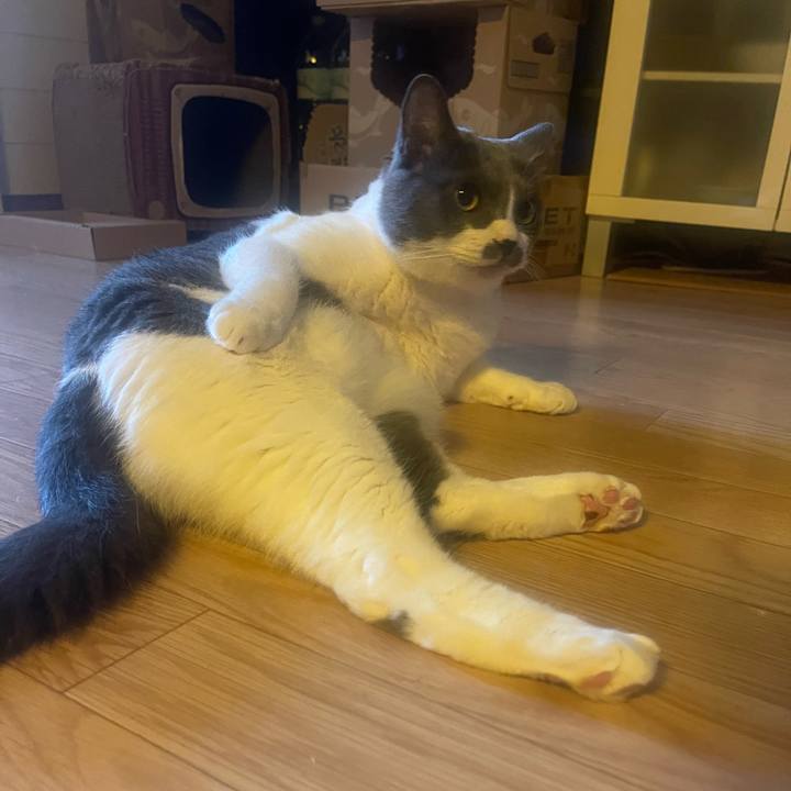 570d6027 7f97 4e7c ba04 e5ec80f02d31 1752102578127