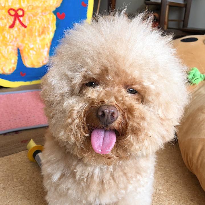 570d62c9 86ca 461e a26d a33de2ad3c64 1538901467696