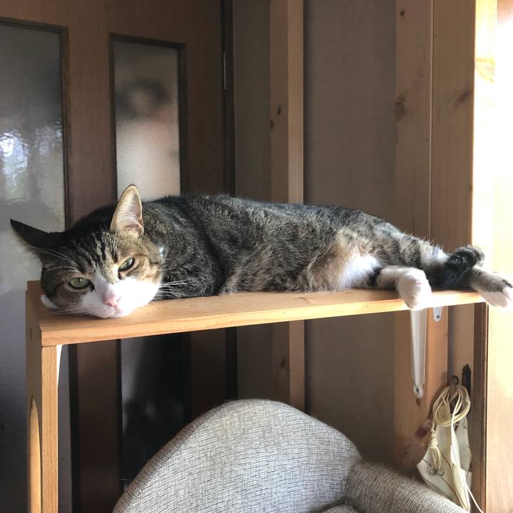 570d7af4 5531 4579 9e69 e092aeedfd6c 1596765906956