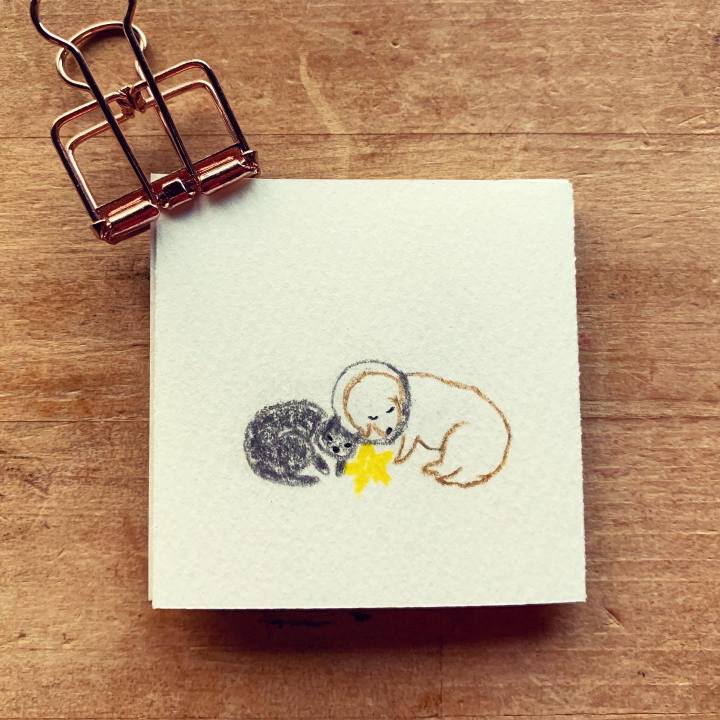 570d7e65 34ab 43b5 aadf 2852cc233fb4 1639640358887