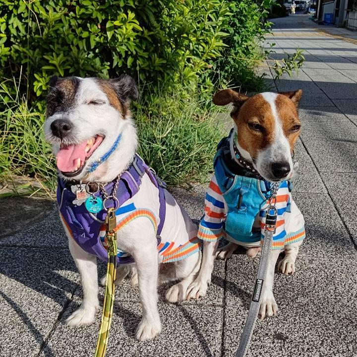 570ddc23 e57b 4d3d 84fe 9bbafacf665f 1660169499687