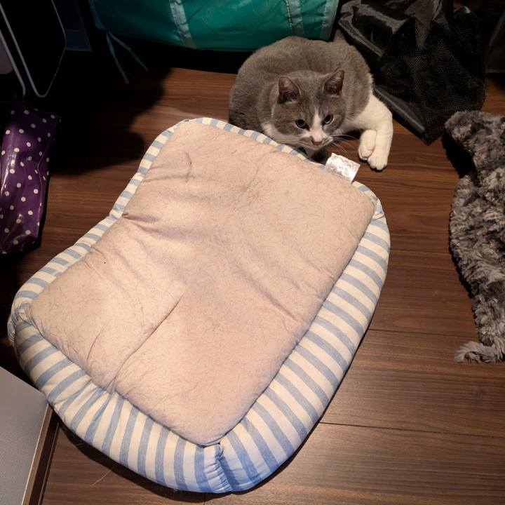 570df284 7d95 42bc a92d 211cd075cd0c 1744281461427