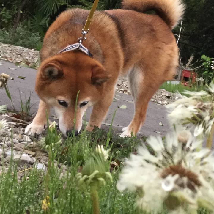 570e31da 65c9 4b25 b1f8 6f3bc9475996 1556270015206