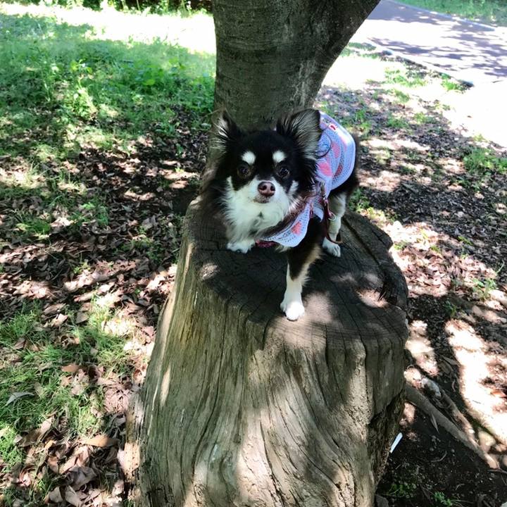 570e6015 698f 4eb9 8f5e 338519534796 1558668543692