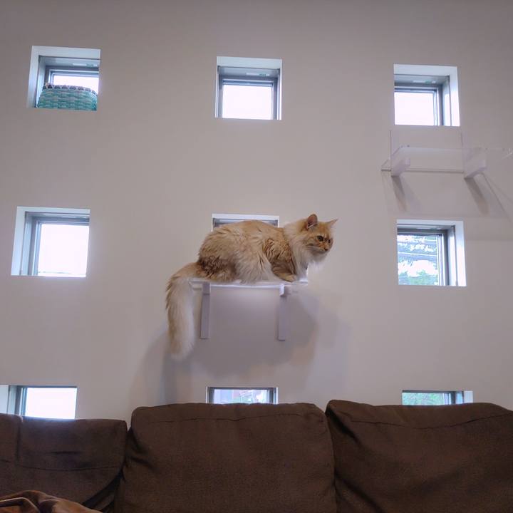 570eb0ab 2800 42dd 97f5 34935c697cfa 1654419761916