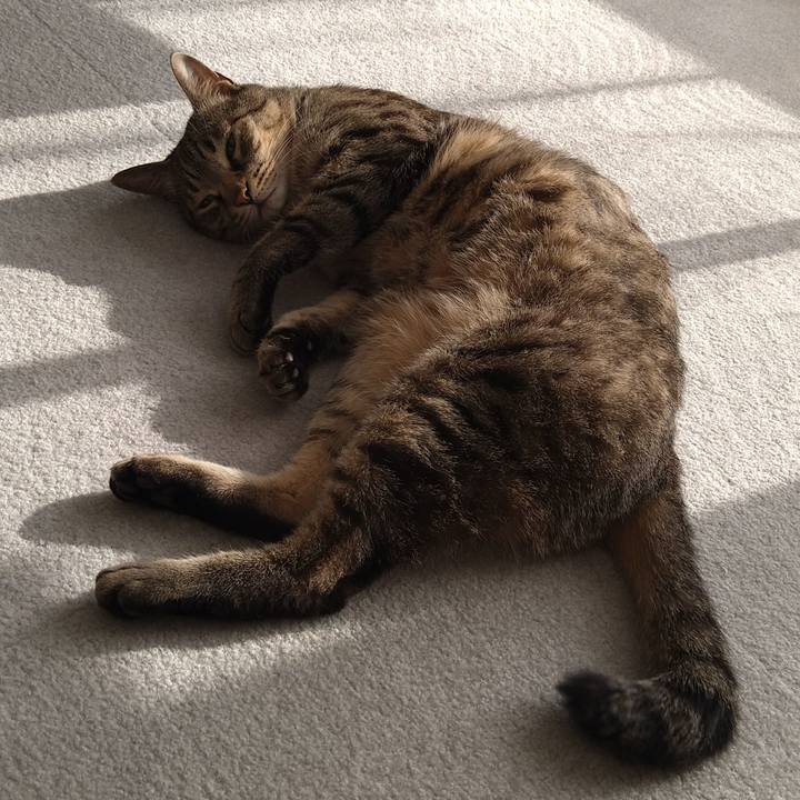 570ed1d9 bc92 4580 a0f1 af1675c08942 1654327841565