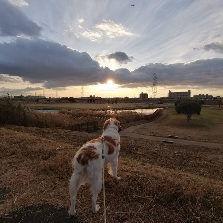 570ed2e1 63ec 4880 b309 c1468a2019fb 1576843864519