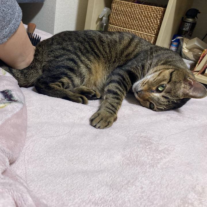 570ee733 ca4e 47f0 be9f 7944cbb49c47 1679104528542