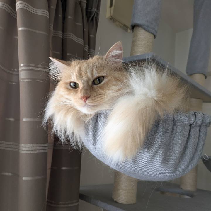 570efcad b69f 4629 9c74 0e7613af51f1 1749431637068