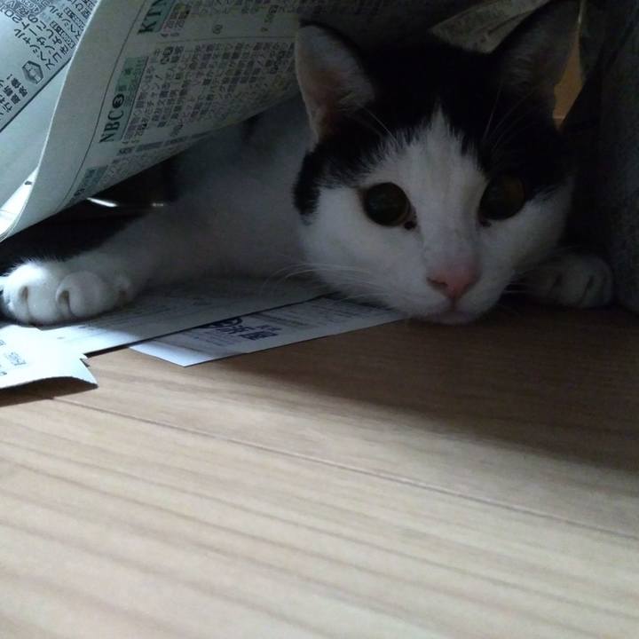 570f1e71 0efc 4fa4 9e5b 09b1dff6f155 1520249979608