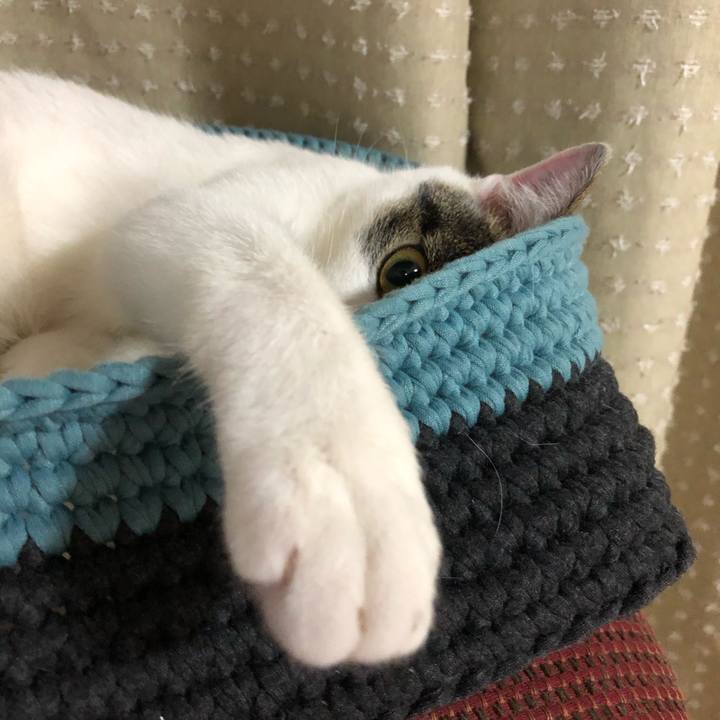 570f42ed 634d 4d87 a3f3 e9585c353470 1590502728659