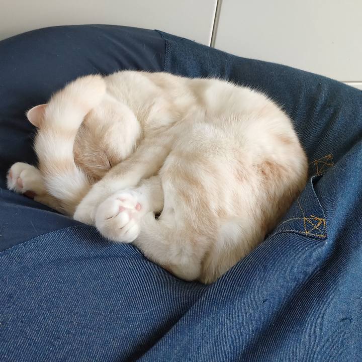 570f56d5 4638 4ae3 9a98 876b51ffe3b6 1651563234416