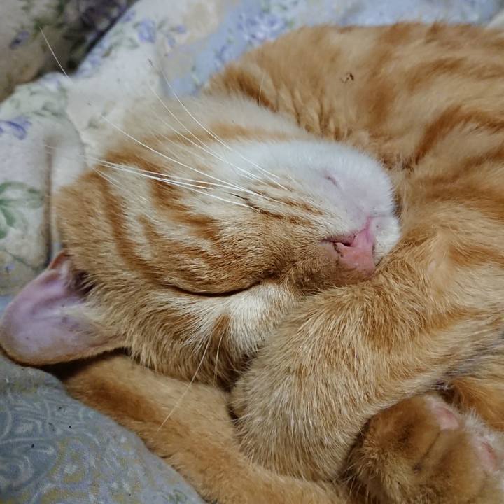 570f58fe 9ff5 4590 aa89 19945d446c59 1662640345777