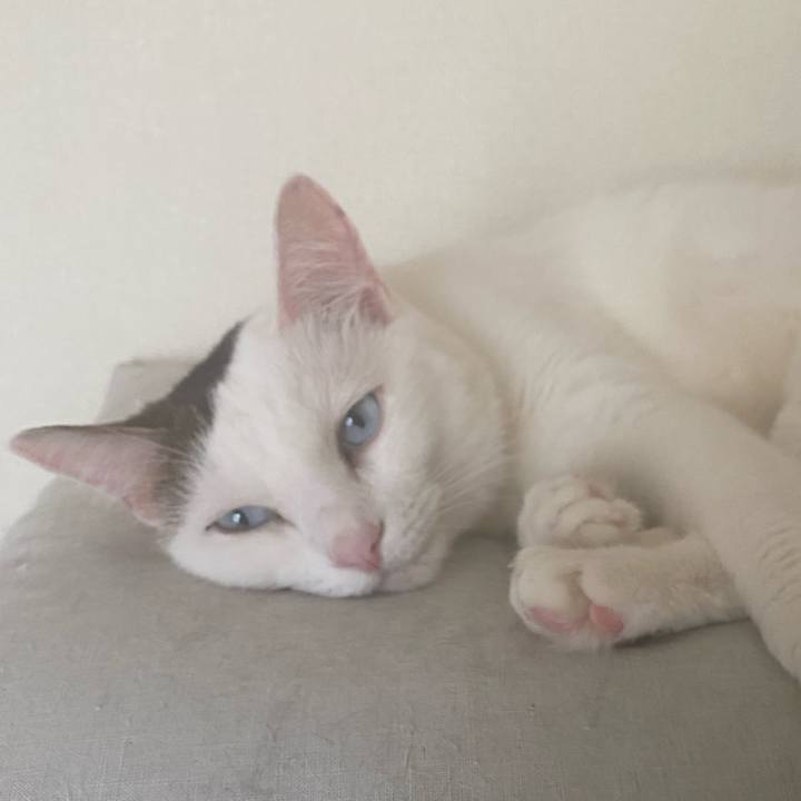 570fab3d 54e9 44c1 b7db 8bd6a28c6cd7 1662707961252