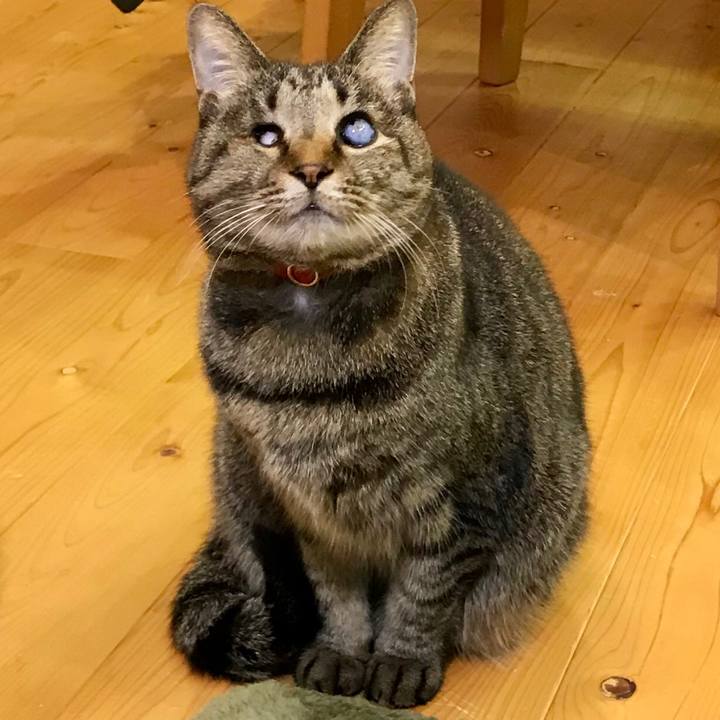 570fc99c 8df3 467b a626 2d328fbdf43e 1548406284287