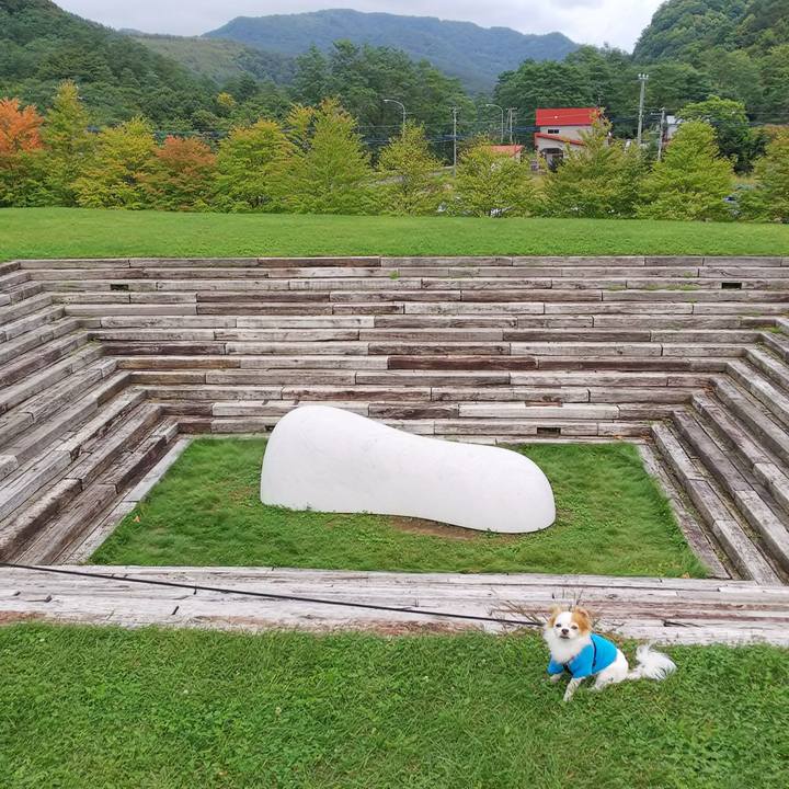 570fcf32 30b3 4907 b76f e4cfaf286ecb 1537085035999