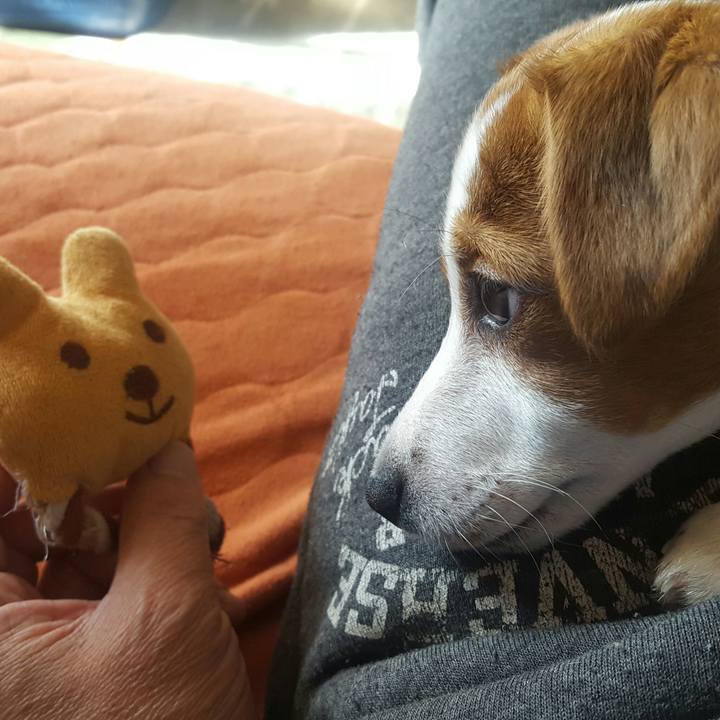 570fe69b 4d63 4eb9 8f32 baa3e3b29d7c 1550655983660