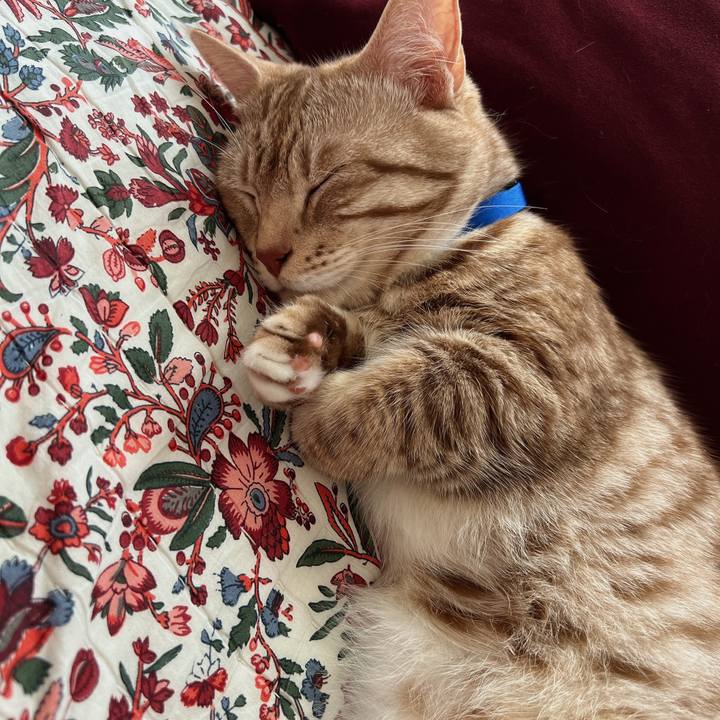 57102d84 89f1 4710 9a3d 4303de7c8d4c 1689992740036