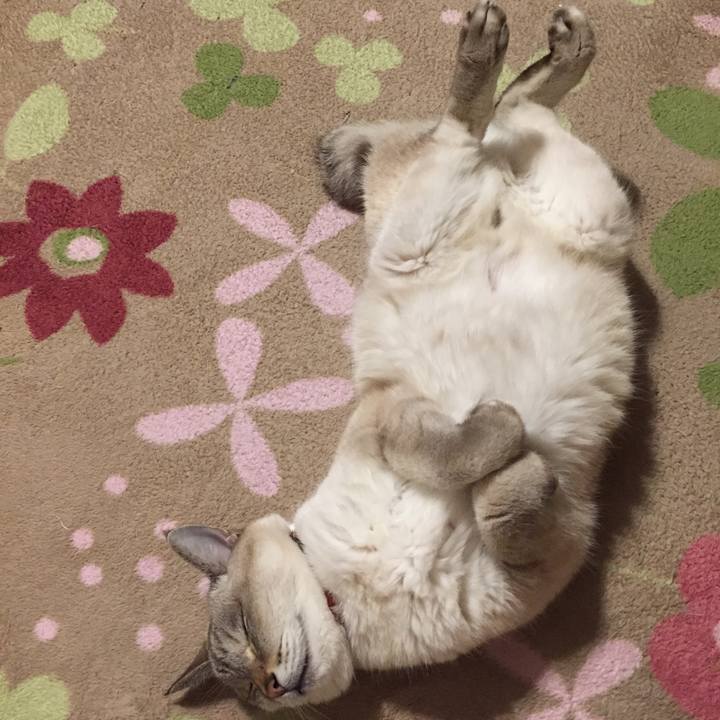 571054bb 125e 4706 86d4 1b6fe60f8481 1576845348419