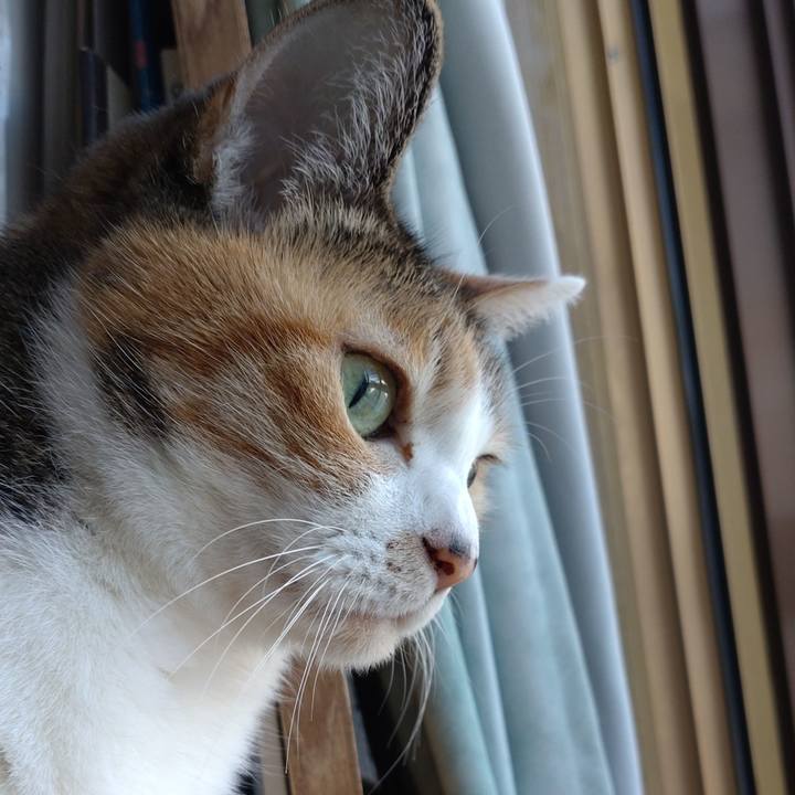 5710b769 a616 4bb2 b848 44e56eac1c1c 1647561478504