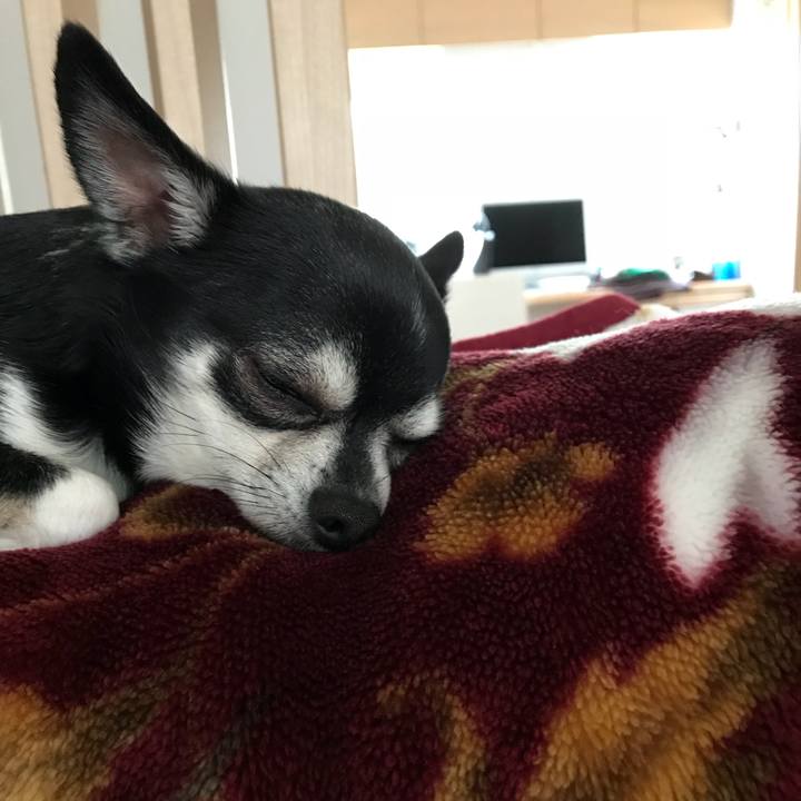 5710e96b 2323 417f b3c6 2c3ad19147af 1523830760755