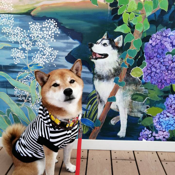 571118f0 e56a 419d b5f0 7828873d2af4 1635168117298