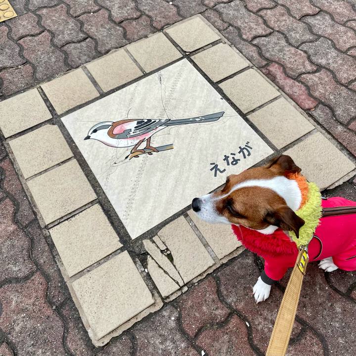 571150d2 2561 45e3 85c9 0f7d5865d186 1645934208436