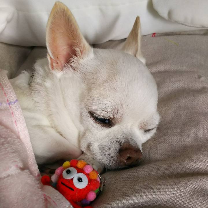 57116b75 3608 45aa 857f 8263501b0577 1535321188234