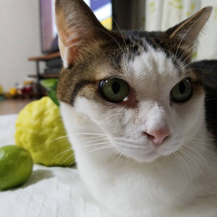 57117c14 debd 4eba 8ddb 7ae43007d5b5 1572682063253