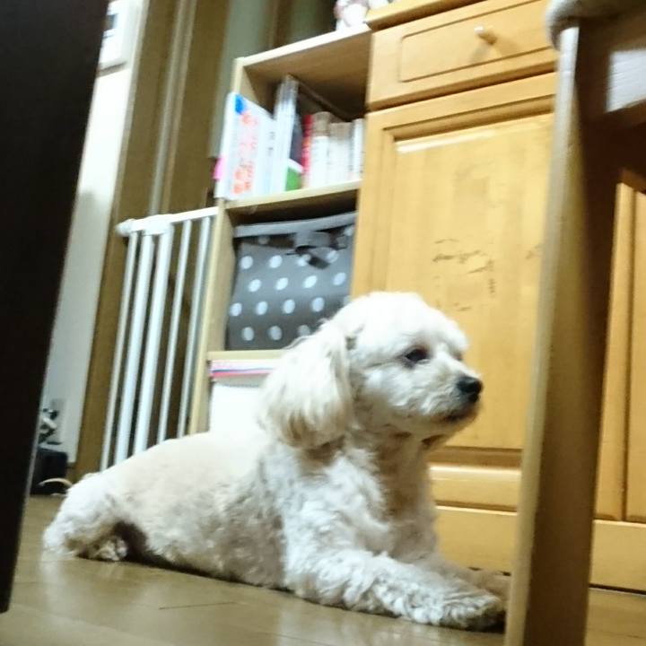 5711a807 00b3 49bf 9f52 577db1fedb95 1529231529489