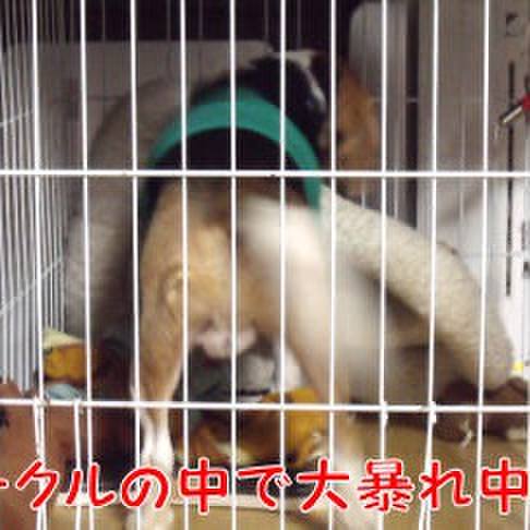 5711b0ef 83c8 4c4e a1d3 daa21c202496 1702685282070