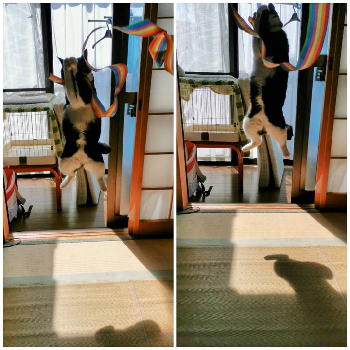 5711c98d 8eb0 48a8 bb14 053241f41b86 1679380463035