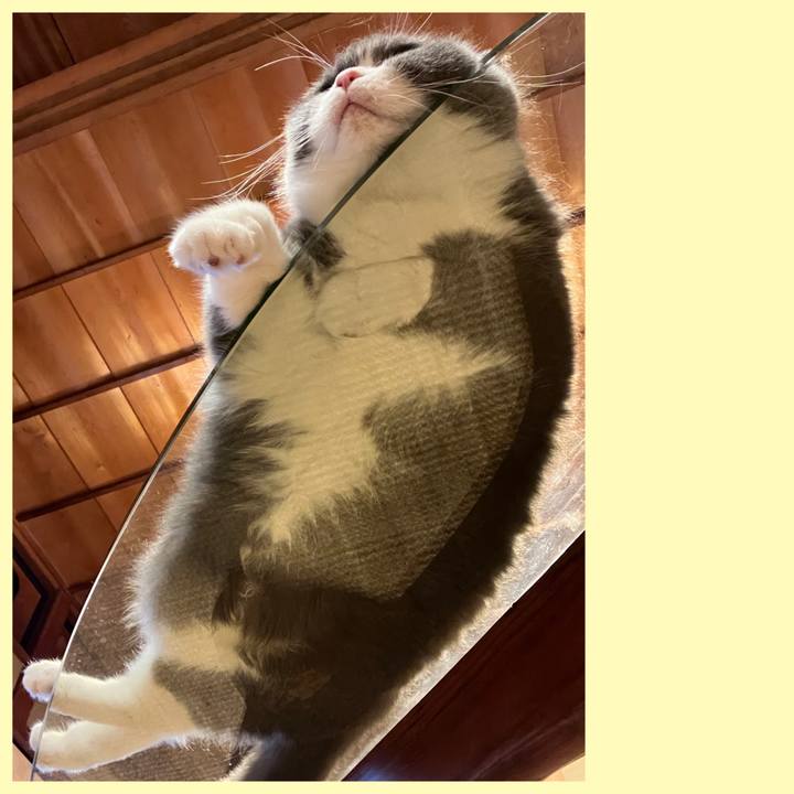 5711dcbf 8c76 44bc af66 63e30f6f98f2 1718516582245