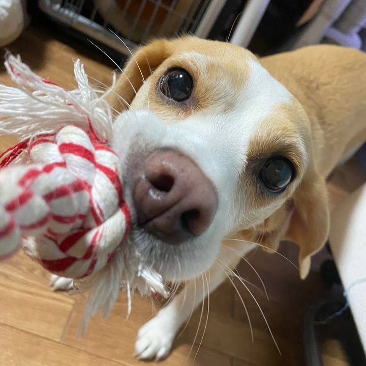 571223a4 7023 467f a77e 0d31d21086cc 1658907734392