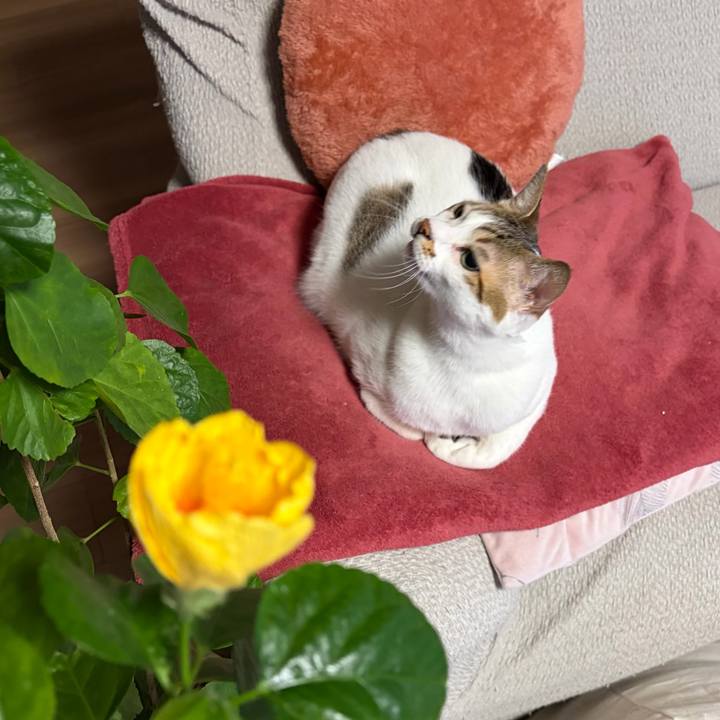 571245f5 4766 4dc8 a22c 2c29cb41a1ce 1765492821397