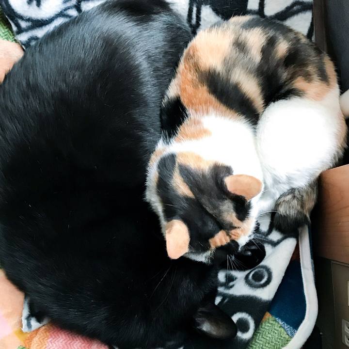 57125cfb a187 4a1e 8656 12f4f91bd947 1510451832534