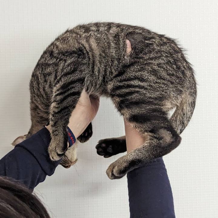 5712863f fe0c 42ed a7ec 90ede3344301 1713503682901