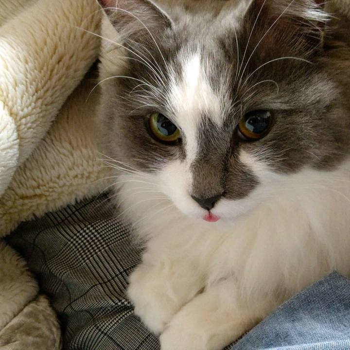 5712acbb 282d 4464 b841 cb461e7e5ce9 1612692877474