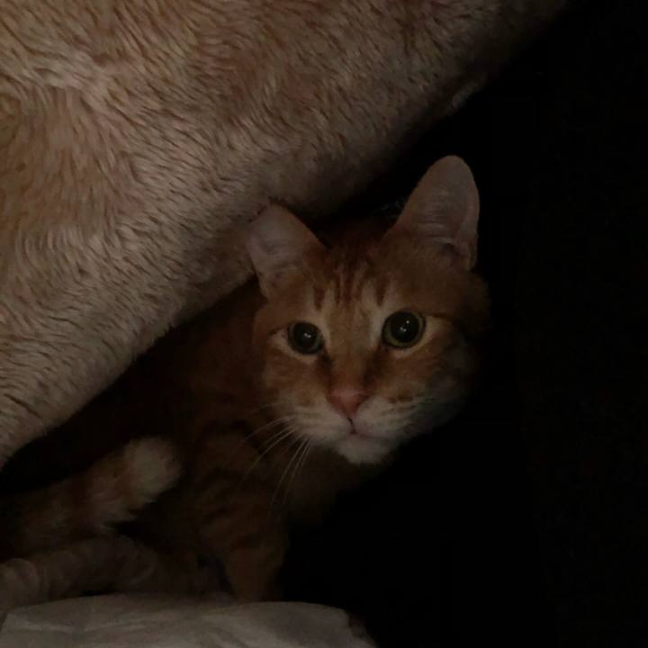 5712b970 1c3d 4bb8 9830 6b4e0446e037 1578696566059