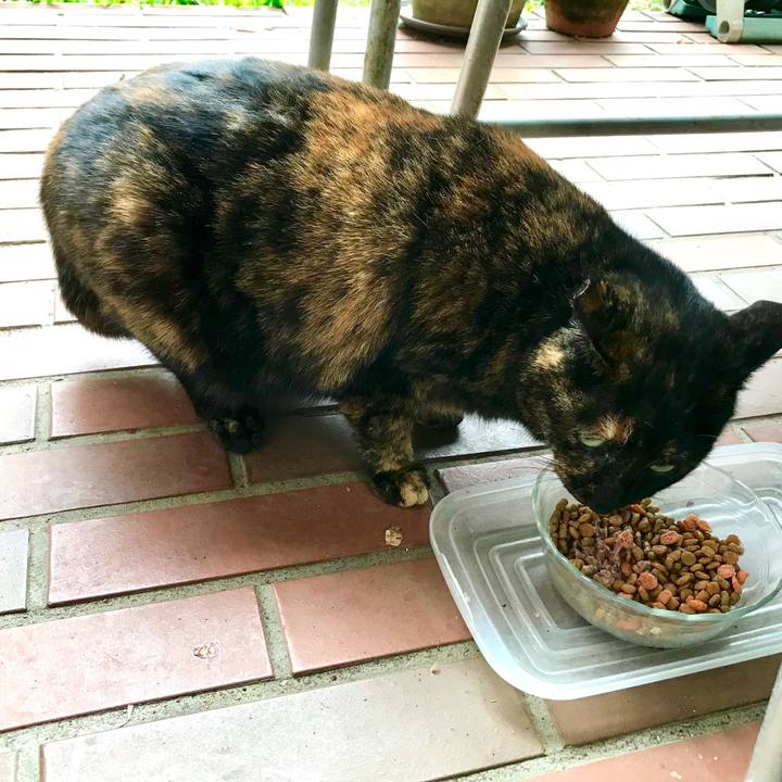 5712e85a 8c24 4c49 97d5 fa386d1aa365 1513386819413