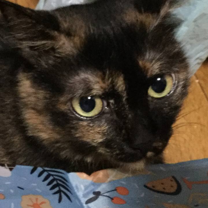 5713336b 1ac1 4fe5 87fd 6a45ef9094f7 1597406352800