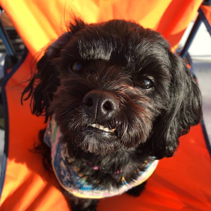 571336e6 85ac 4884 9719 65c3060f98b6 1516495642383