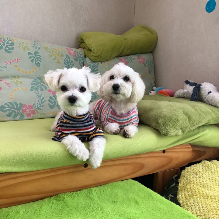 571344b5 efda 4e0e 8952 5a25f17f253c 1522143124483