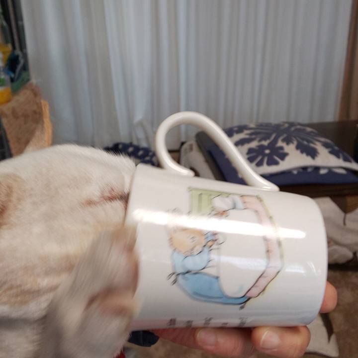 57134c16 17b1 4bae 9fe4 6c3a5385ab1c 1544313921923