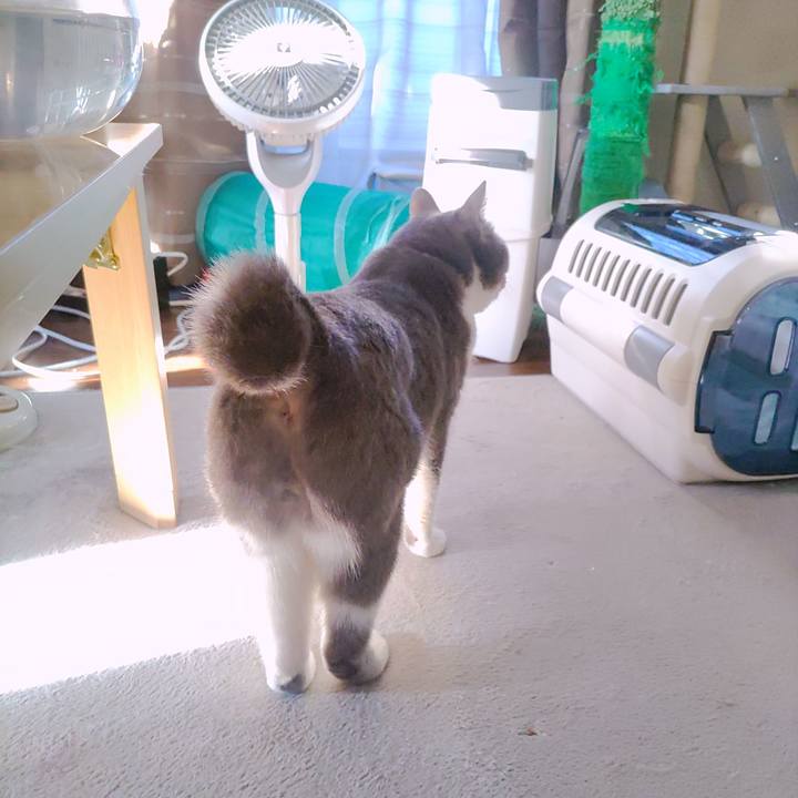 57137144 a7c7 4ccb 97c3 d708b78e853f 1682720576999