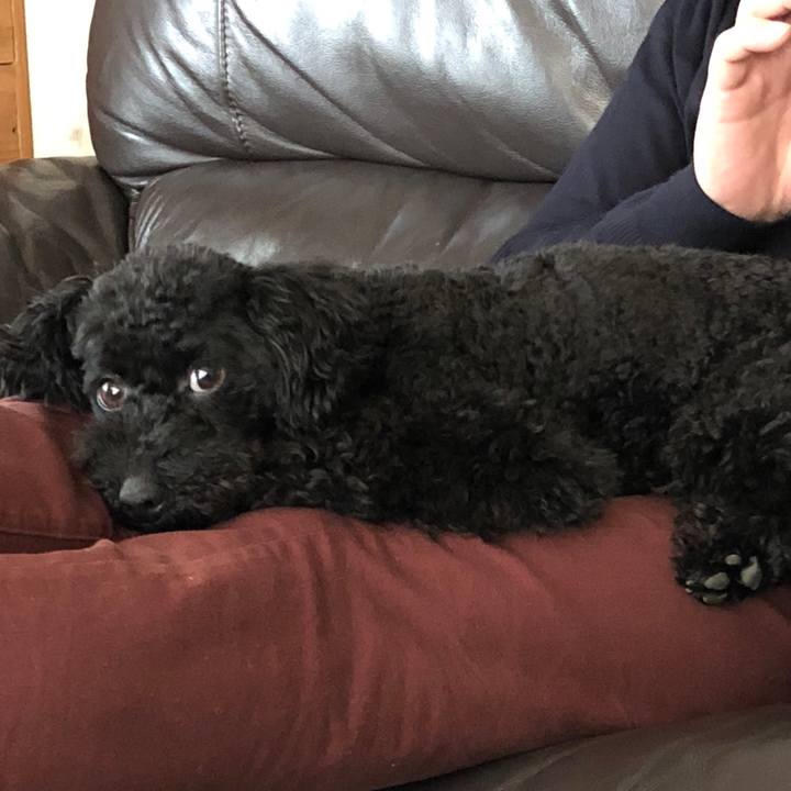 571392e1 a86d 4e18 a5f0 14bca5979bc2 1522671434120