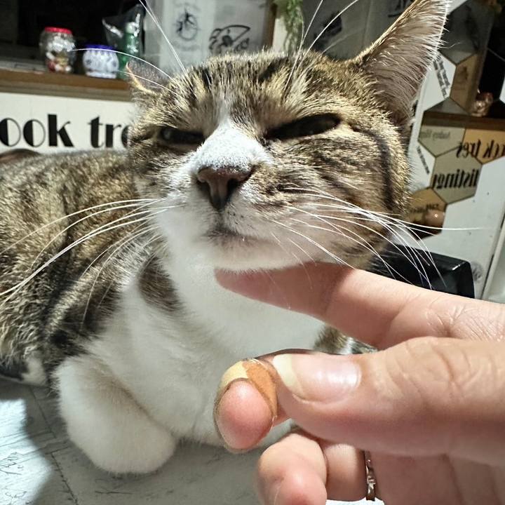 571402cd d603 4edd b0ee 5dabd25e339c 1713772283541